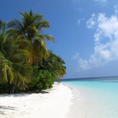 Отель Equa Reef Maldives Атолл Адду Экстерьер фото