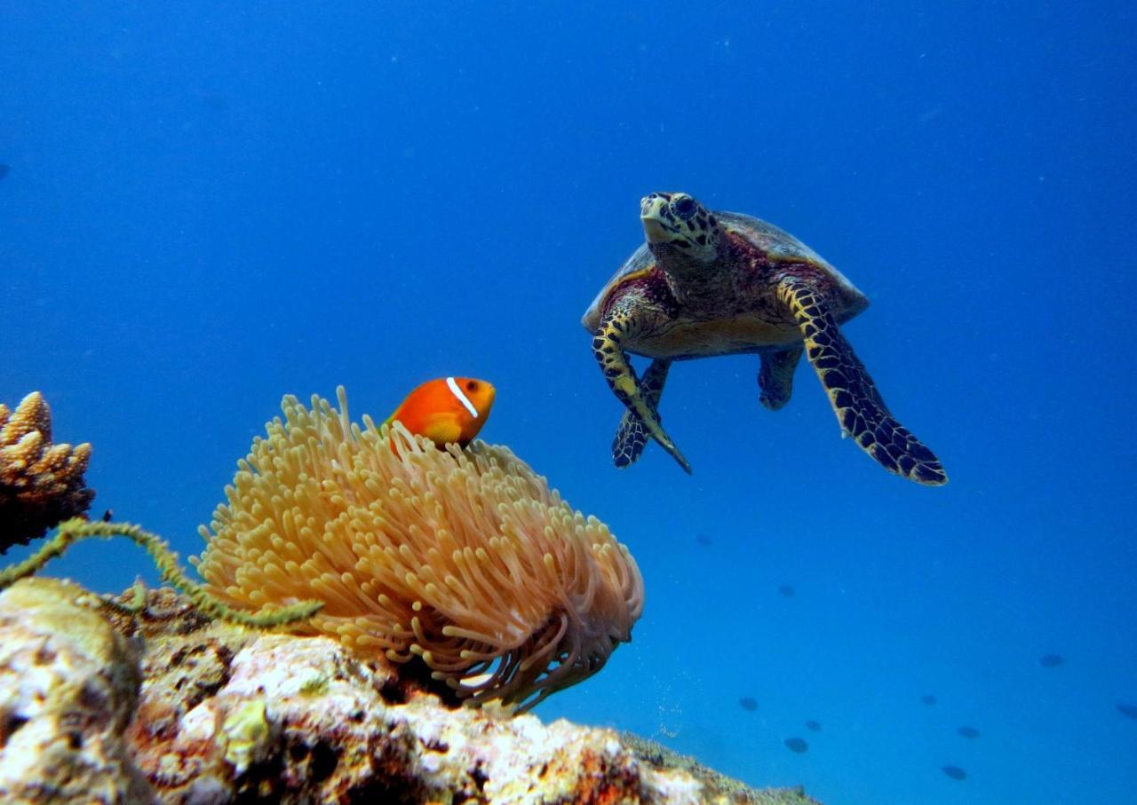 Отель Equa Reef Maldives Атолл Адду Экстерьер фото