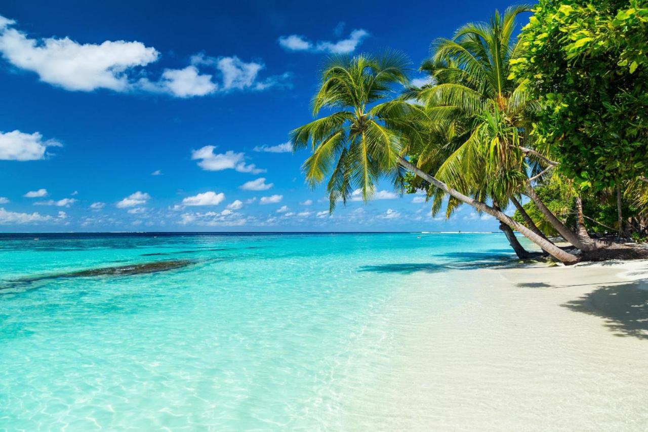Отель Equa Reef Maldives Атолл Адду Экстерьер фото
